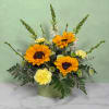 The Pot of Gold Garden by Savilles Florist is a bright and