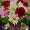 happy bouquet of daisies, carnations and stock