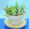 Succulent arrangement in a pedestal bowl on a round wooden base