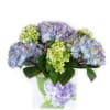 Lavender and green hydrangea arrangement in a clear square vase