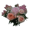Pink and peach rose bouquet with baby's breath