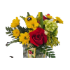 Red rose and yellow daisies in a glass vase