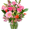 Pinks with a touch of orange arranged in a vase