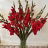 Red gladiolus stems arranged in a clear glass vase