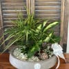 Mixed potted houseplants in a low gray planter with white ribbon