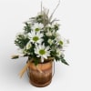 A daisy arrangement accented with a pampas grass plume designed in a
