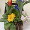 A custom designed Spring basket with a collection of spring bulbs. Every