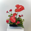 This refined Ikebana-style composition evokes a serene tropical sanctuary, where vibrant life