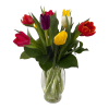A variety of vibrant colored tulips in a clear vase. Tulips are