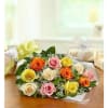 Bouquet of multicolored roses wrapped in clear paper