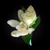 We will create a boutonniere with white flowers and foliage accents to