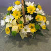 Basket arrangement of yellow and white daisies with a yellow ribbon bow