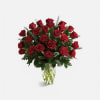 These stunning velvet, like red roses from Ecuador are presented to you