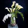 This arrangement includes white calla lilies, orchid and succulent in a clear