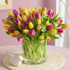 Send a selection of tulips to somebody you have unconditional love for!
