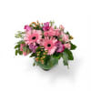Lavish Pink blooms in a clear cube vase.