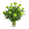 This striking flower arrangement showcases vibrant green carnations, complemented by rich premium