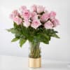 The picture perfect petals of pink roses gracefully unfold, showcasing their timeless