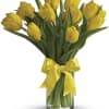 Sunny yellow tulips are a sure sign of spring. Even if the