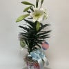 Decorated and in pot 6.5&rsquo; Easter Lily 