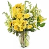 Designers choice beautiful yellow mixed arrangement