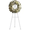 A ring of fragrant, bright white blossoms will create a serene display