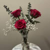 Three fresh roses arranged with greenery in a petite vase. Perfect for