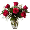 Six vibrant and fresh hand-picked roses with green foliage in a clear