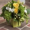Citron Bliss Floral Arrangement - Wilmington, DE Local Delivery
Bring bold, refreshing color