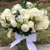 Peaceful Bliss | Wilmington, Delaware Florist

Experience serene elegance with our Peaceful Bliss