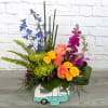 Rainbow Road Tripper is A Ladybug Floral exclusive bouquet. This bouquet features