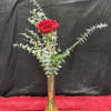 A single red rose, elegantly displayed with delicate greenery, embodies simplicity and