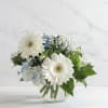 A serene and elegant arrangement, the Misty Morning combines blue hydrangea and