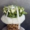 White tulips embody purity, grace, and quiet elegance. Their soft petals and