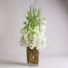 WHITE DENDROBIUM ORCHIDS ACCENTED WITH CURLY WILLOW IN A CLEAR MODERN VASE.