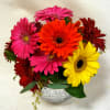 Colorful mixed gerbera daisies are playfully arranged in a glass bubble bowl.