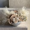 Set in a minimalist, stone-textured ceramic bowl, it features a blend of