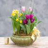 Let our designers fill a 9" ceramic pot with Blooming Spring Bulb