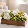 The Peaceful Garden Memorial Box is a modern sympathy arrangement featuring hydrangeas