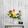 Celebrate spring with vivid primary colors! Red tulips, yellow daffodils and blue