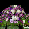 Elegant casket with a varieties of beautiful flowers