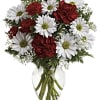 Red carnations and white daisies in a clear glass vase