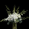 Tall vase of white hydrangea and white dendrobium orchids. Simple yet incredibly