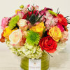 Breathtaking blooms of jubilant hues! Dive into a world of joy with