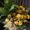 A LARGE PEACELILY LIVE PLANT, SUNFLOWERS GALORE, GREENS, AND MOSS IN A
