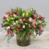 We've bundled up spring's most loved bloom -tulip- to create a modern