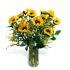 This bright and beautiful arrangement has sunflowers, yellow wax flowers, and israeli