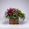A sweeping horizontal spray of bright pink and magenta blooms makes an