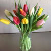 Fresh multi colored tulips...just tulips- classic! Our tulips come to us straight