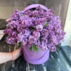 A lush dome of fragrant lilacs overflowing a round lavender hatbox creates